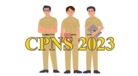 BKN Resmi Membuka Seleksi CPNS 2023 untuk Lulusan SMA hingga S1