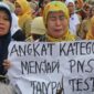 Harapan Jadi Kenyataan Menuju Perubahan Tenaga Honorer Jadi ASN
