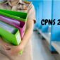 Ingin Jadi ASN Yuk Intip Tips Lulus Seleksi CPNS 2023 Berikut