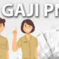 Mending Jadi PNS atau PPPK Berikut Ini Rincian Gaji dan Tunjangannya 1