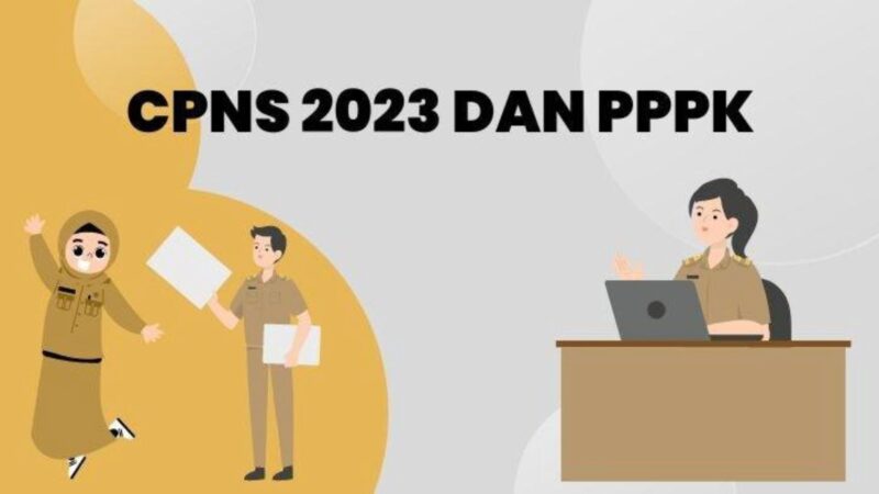 PNS dan PPPK Sama sama Berstatus ASN Namun Keduanya Berbeda Ini Perbedaannya