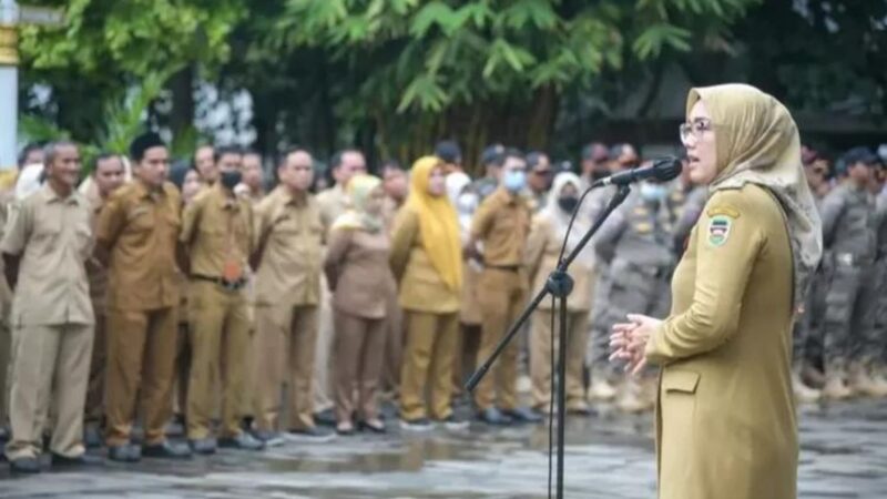 PPPK Guru 2023 Hanya untuk Honorer Nasib Fresh Graduate Diabaikan