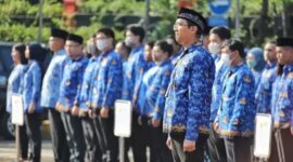 PPPK Part Time Akan Menggantikan Tenaga Honorer Ini Alasannya
