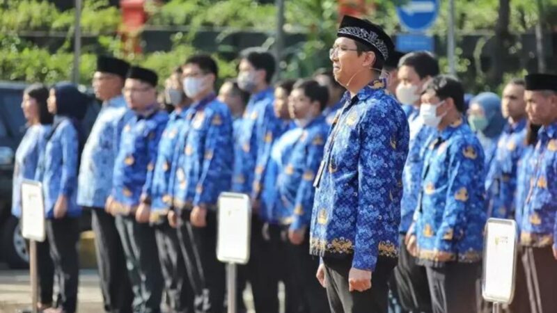 PPPK Part Time Akan Menggantikan Tenaga Honorer Ini Alasannya