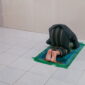 masjid pogung dalangan vX60jw8SsUM unsplash 1