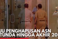 Begini Nasib Honorer Jika Gagal Diangkat Jadi PPPK Simak Penjelasannya 2