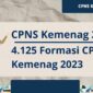 CPNS Kemenag 2023