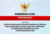 Dialokasikan untuk Guru Pemda Aceh Sediakan 3.408 Formasi PPPK 2023