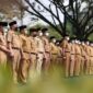 Formasi CPNS 2023