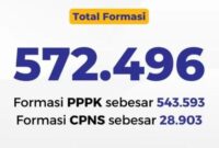 Formasi CPNS dan PPPK 2023 Guru dan Nakes Dapat Perhatian Khusus