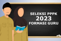 Honorer Wajib Tahu Ini Informasi Penting Seleksi PPPK Guru 2023