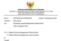 Jadwal Pendaftaran Seleksi CASN 2023 Diundur Ini Penjelasan dari BKN