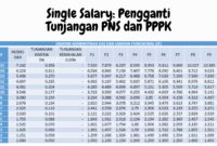 Mengenal Single Salary Pengganti Tunjangan PNS dan PPPK