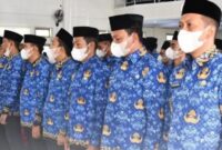 Tips Lolos Seleksi CPNS dan PPPK 2023 Wajib Siapkan Syarat Ini
