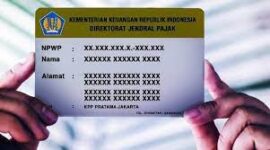 cara cek npwp