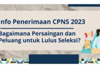 3 Hari Lagi Seleksi CASN Berakhir Ini Perbandingan Tingkat Persaingan di Setiap Instansi