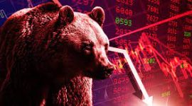 Bear Market