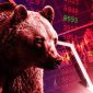 Bear Market