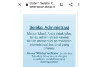 Kenapa Hasil Seleksi Administrasi CASN 2023 Belum Keluar Ini Alasannya