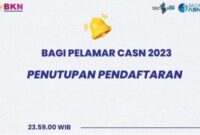 Pendaftaran Ditutup Pelamar CASN 2023 Lihat Tahapan Selanjutnya Disini