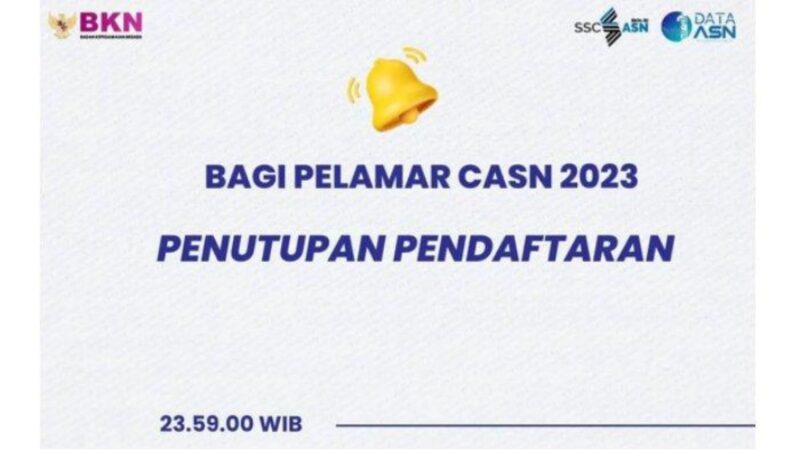 Pendaftaran Ditutup Pelamar CASN 2023 Lihat Tahapan Selanjutnya Disini