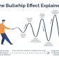 Pengertian Bullwhip Effect Penyebab dan Cara Mengatasinya 2