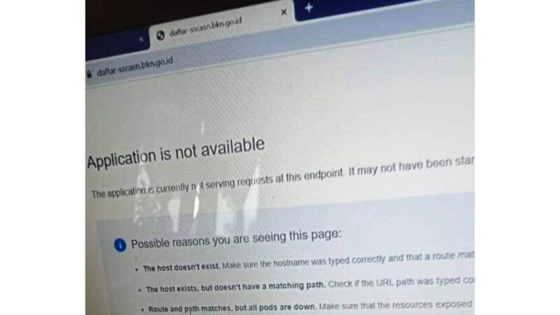 Solusi Application Is Not Available di Portal SSCASN BKN 2023