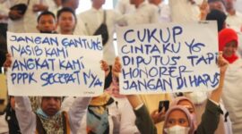 UU ASN Tidak Menjamin Semua Honorer Bebas PHK Ini Penjelasannya 1