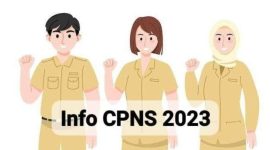 Arti Kode PL P TL dan TH Pada Hasil Tes SKD CPNS 2023