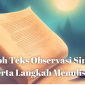 Contoh Teks Observasi Singkat Beserta Langkah Menulisnya