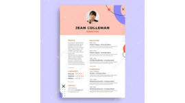 Daftar Riwayat Hidup dengan Warna Pastel Simpel