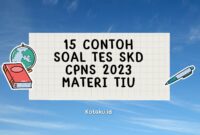 Dijamin Keluar Ini 15 Contoh Soal Tes SKD CPNS 2023 Materi TIU
