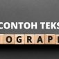 contoh teks biografi bsi today