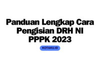 Panduan Lengkap Cara Pengisian DRH NI PPPK 2023