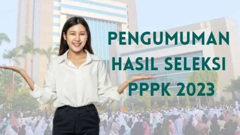 Update Instansi yang Telah Umumkan Hasil Seleksi PPPK 2023