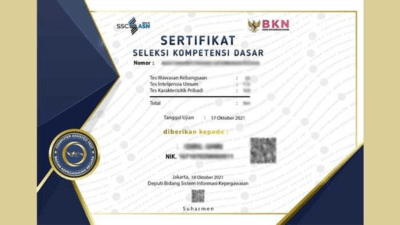 Manfaat Sertifikat CAT-BKN untuk Peserta Lulus