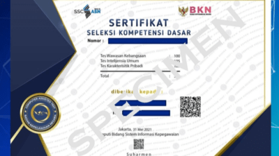 Manfaat Sertifikat CAT - Apresiasi, Bukti Otentik, dan Bahan Sanggah 1 Manfaat Sertifikat CAT-BKN