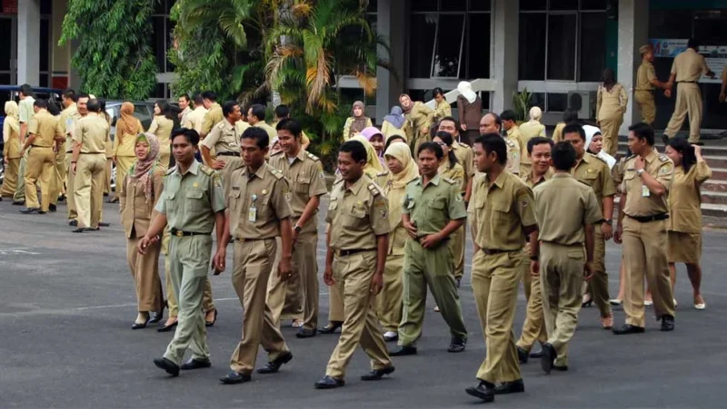 pegawai negeri sipil pns