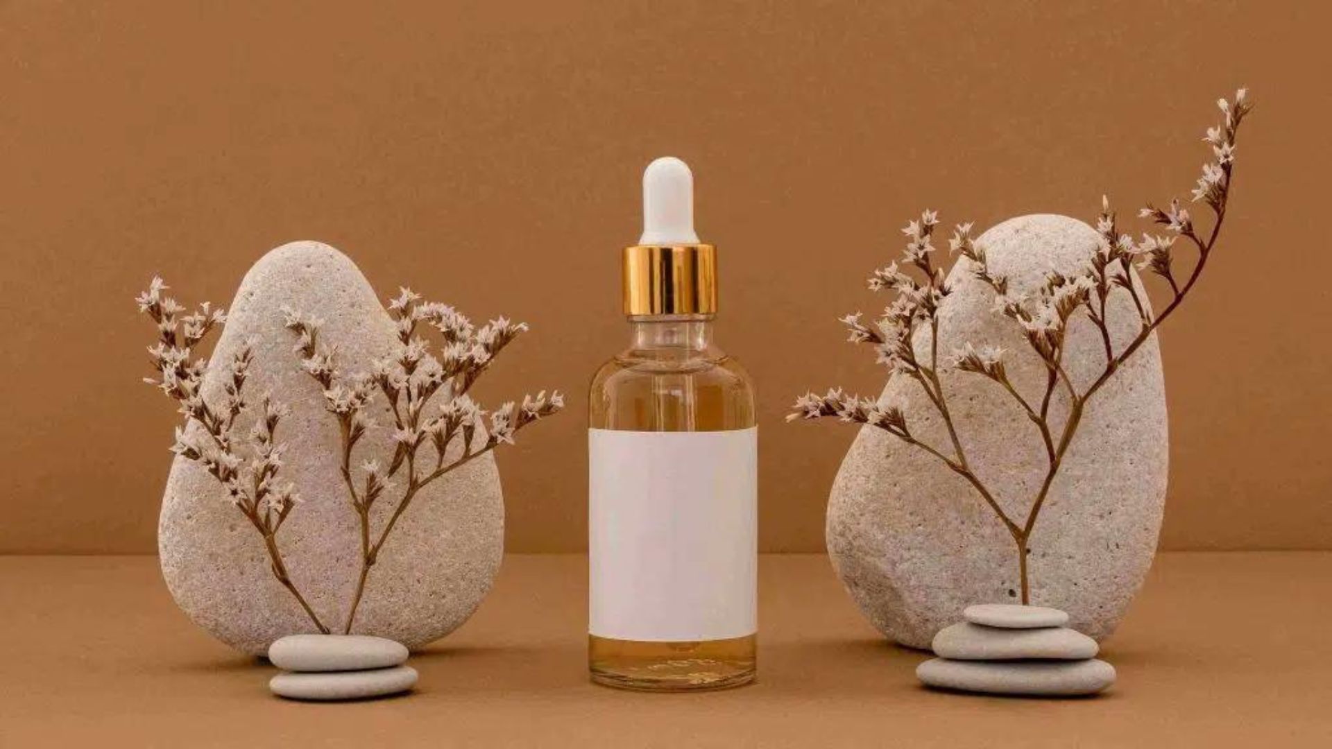 Bisnis Skincare 2024