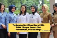 Waduh Tunjangan Sertifikasi Guru 2024 Tidak Dibayar Penuh Oleh Pemerintah Ini Alasannya