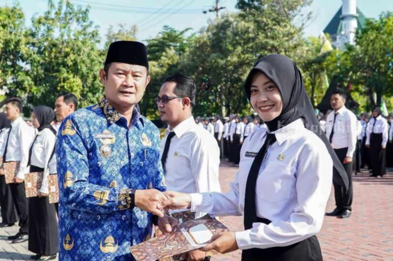 IMG 20240251 093151222 copy 1800x1200