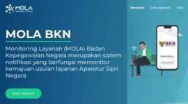 Mola BKN Platform Pengecekan Proses Penetapan NI PPPK TA 2023