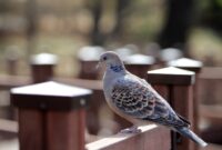 birds 7860314 1280