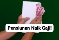 IMG 20240373 111858498 copy 2169x1200