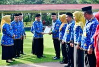 IMG 20240378 123803420 copy 1954x1200