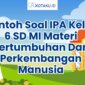 Biru dan Hijau Sederhana Ilustratif Penerimaan Peserta Didik Baru Banner scaled