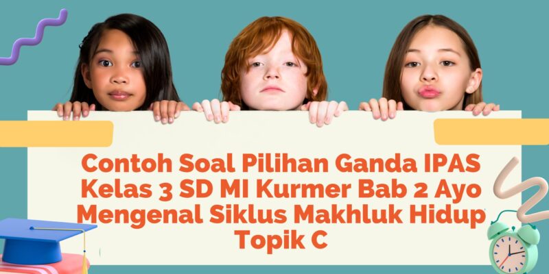 Green New School Year Elementary Banner scaled