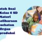 Sky Blue White Elementary School Profile Presentation Template
