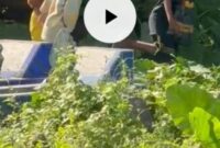 Video 3 Bocil Yang Viral di Kuburan 41 Detik via Mediafire