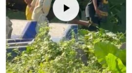 Video 3 Bocil Yang Viral di Kuburan 41 Detik via Mediafire